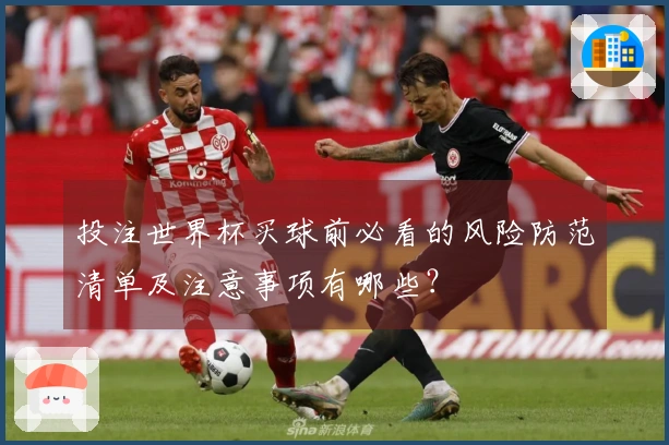 投注世界杯买球前必看的风险防范清单及注意事项有哪些？