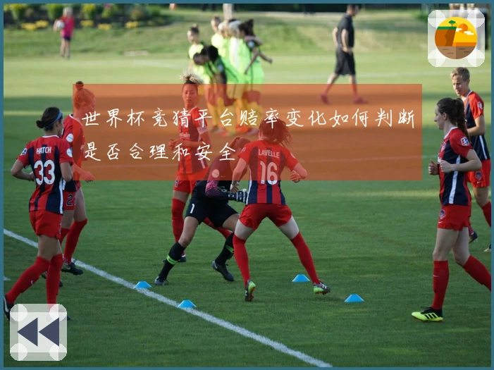 世界杯竞猜平台赔率变化如何判断是否合理和安全