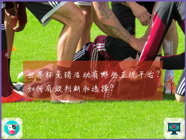 世界杯竞猜活动有哪些正规平台？如何有效判断和选择？