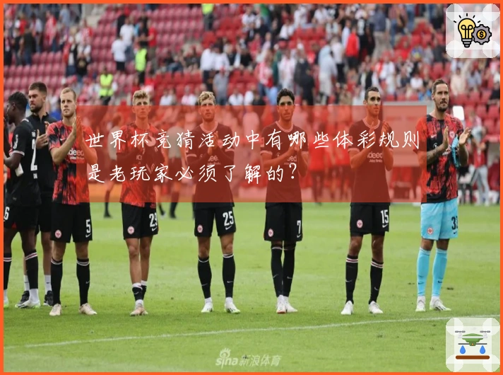世界杯竞猜活动中有哪些体彩规则是老玩家必须了解的？