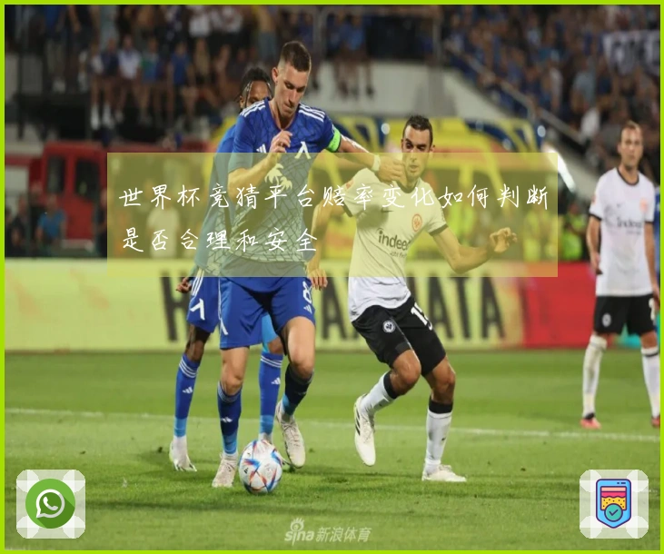 世界杯竞猜平台赔率变化如何判断是否合理和安全